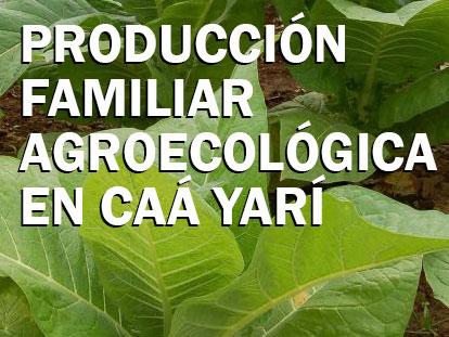 Producción Familiar Agroecológica en Caá Yarí
