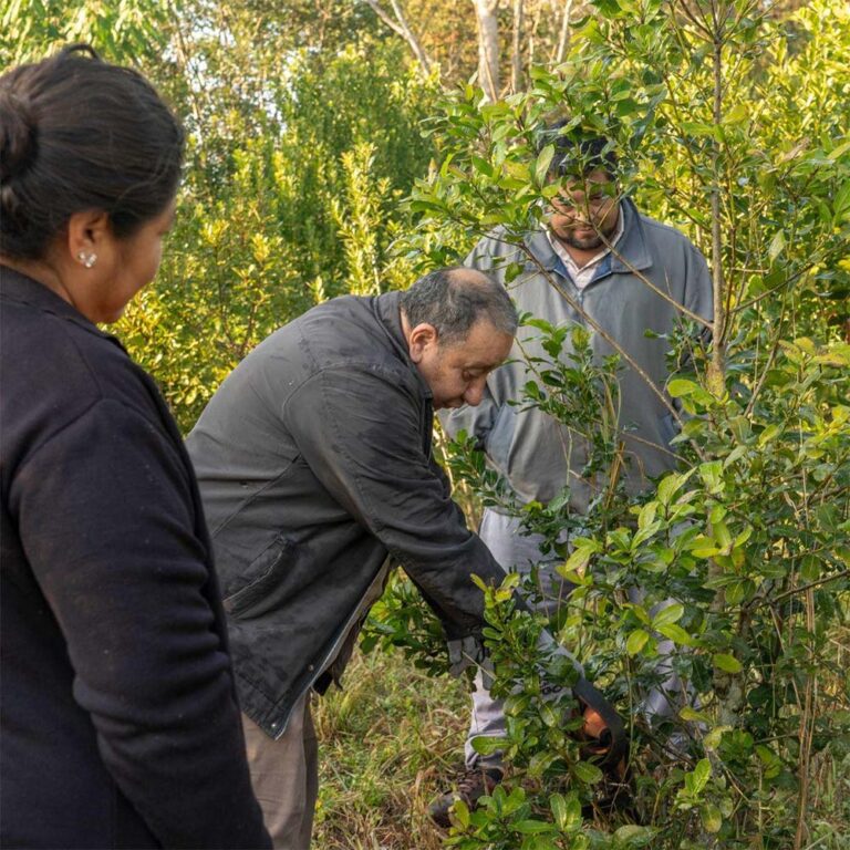 Identidad, resistencia y futuro compartido